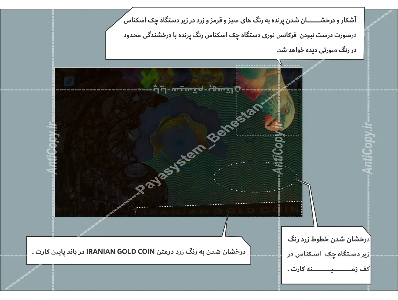 ایمن گلد کارت و بسته‌بندی ضدجعل سکه‌های بانکی قم از پایا سیستم بهستان - تصویر ۶